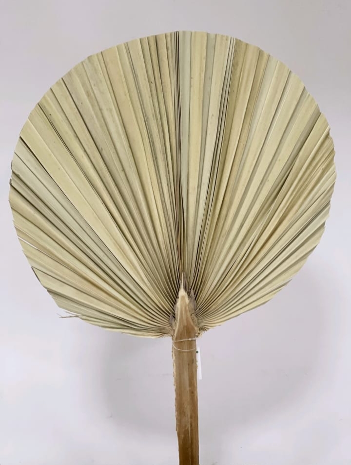 PALM ROUND EXTRA LARGE